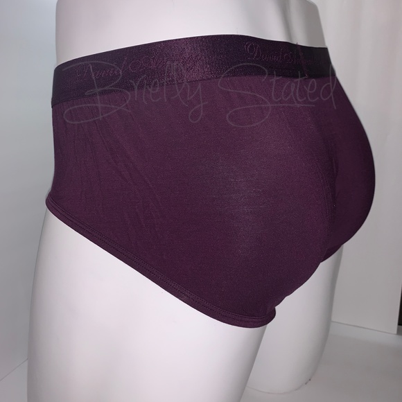 David Archy Micro Modal Briefs - Wine (L) - Picture 5 of 7